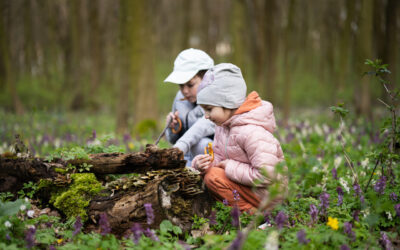 Edukacja poza klasą – dlaczego wiosna to najlepszy moment na naukę w terenie